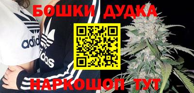 PSILOCYBIN Свободный